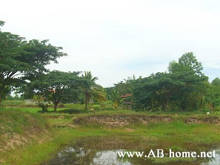 Landscape near Udon Thani in northeast Thailand