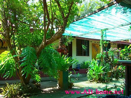 Gecko Guesthouse