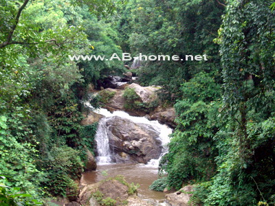 Mae Sa Waterfall, Mae Rim