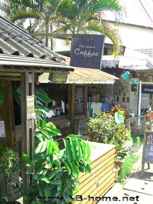 All about Coffee in Pai